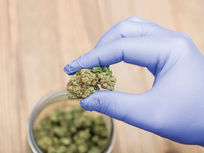 Dreamlike States: Can Cannabis Unlock Hypnagogic Creativity?